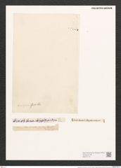 Campylodiscus latus Shadb. (de-Toni-Nr.: Genus 57, Species 2460) Zeichnungen Sammlung Grunow (NHMW-BOT-W0373173)